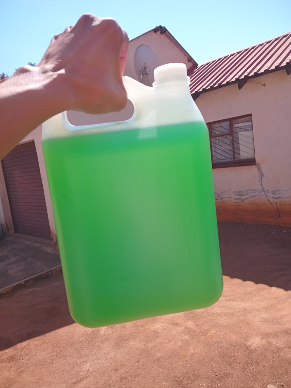 Potent Dishwashing Liquid 5L bulk